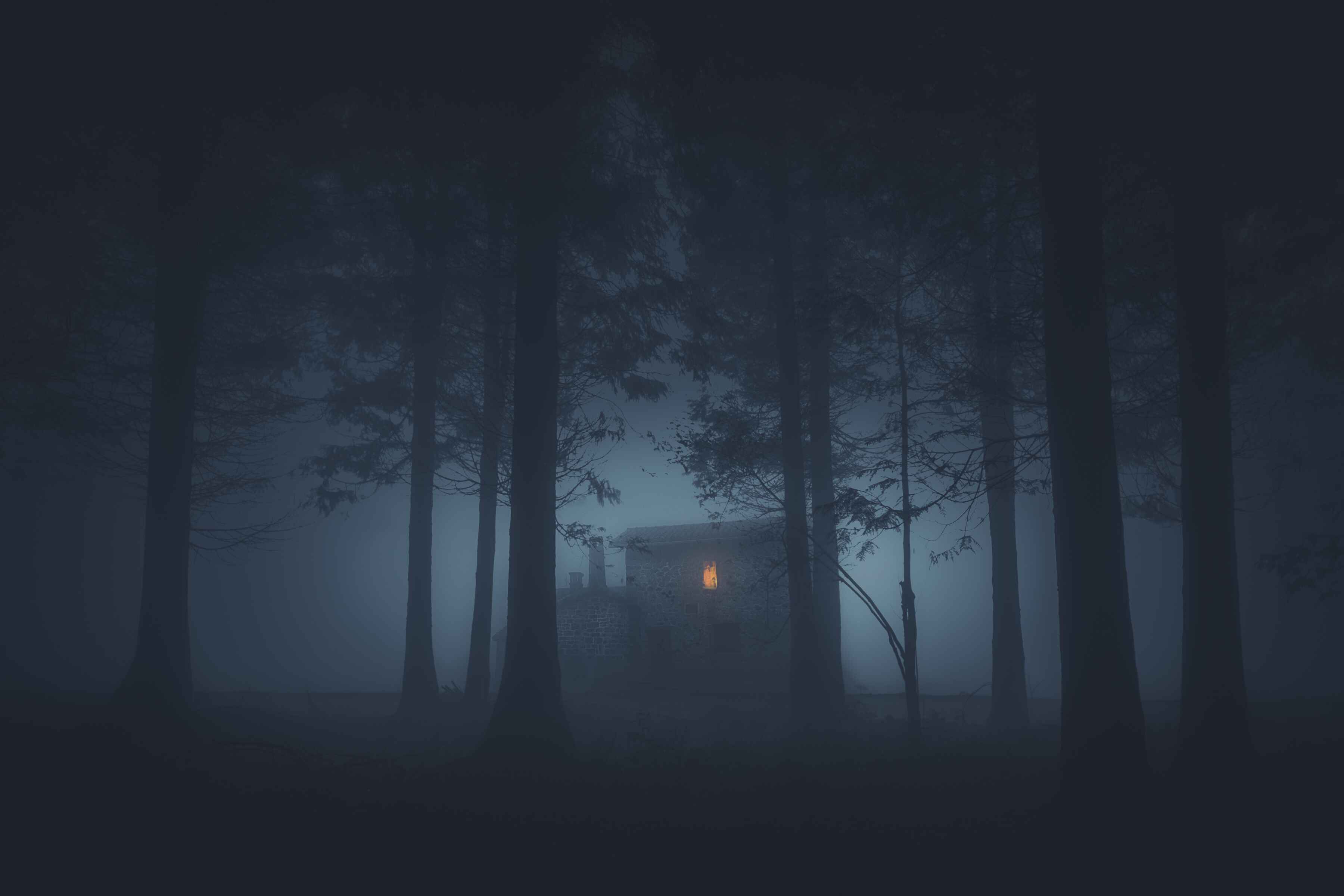 Bump in the Night low res.jpg
