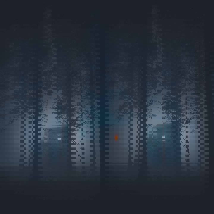 Bump in the Night low res.jpg