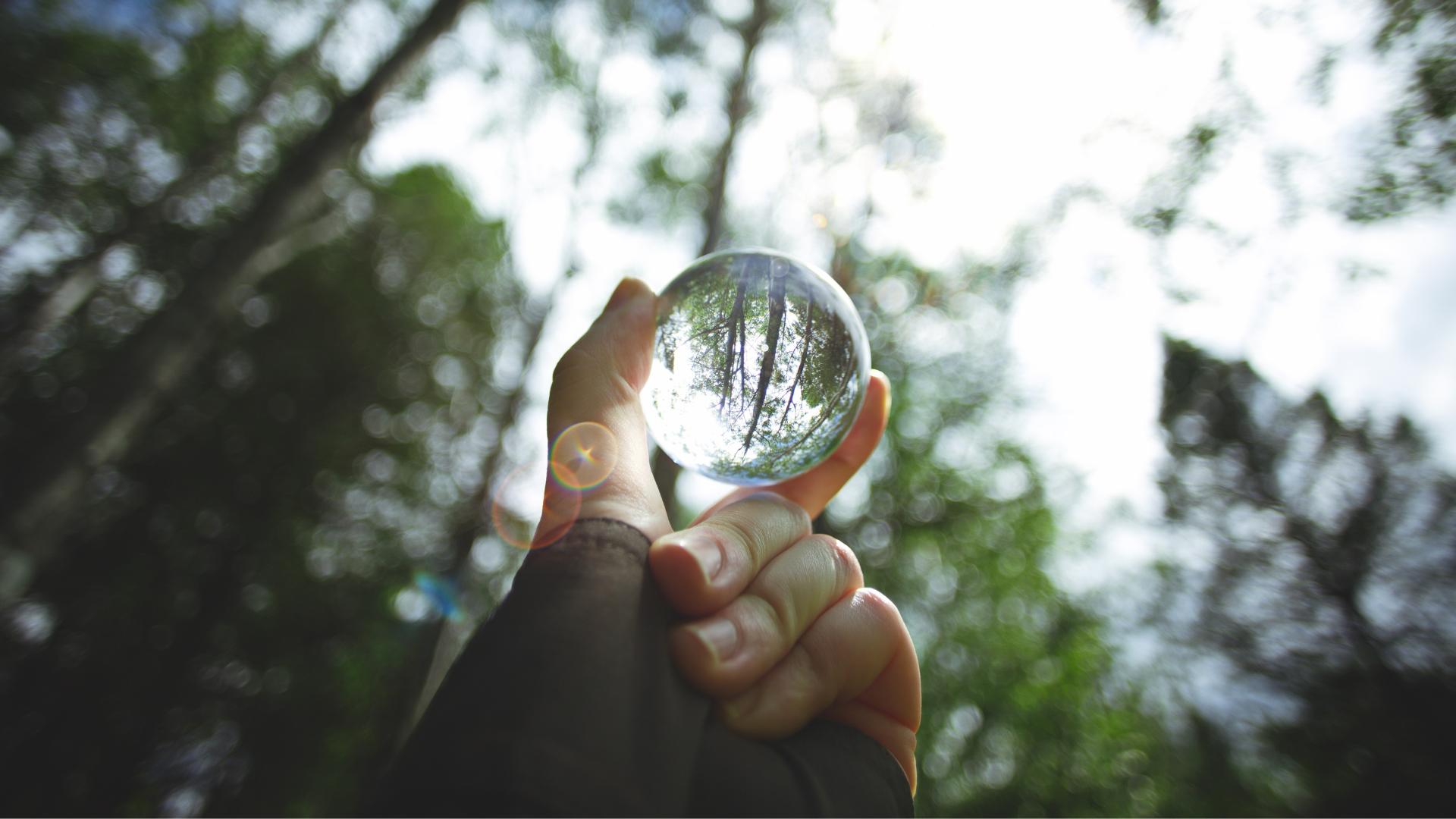 The Ring of Choice.png