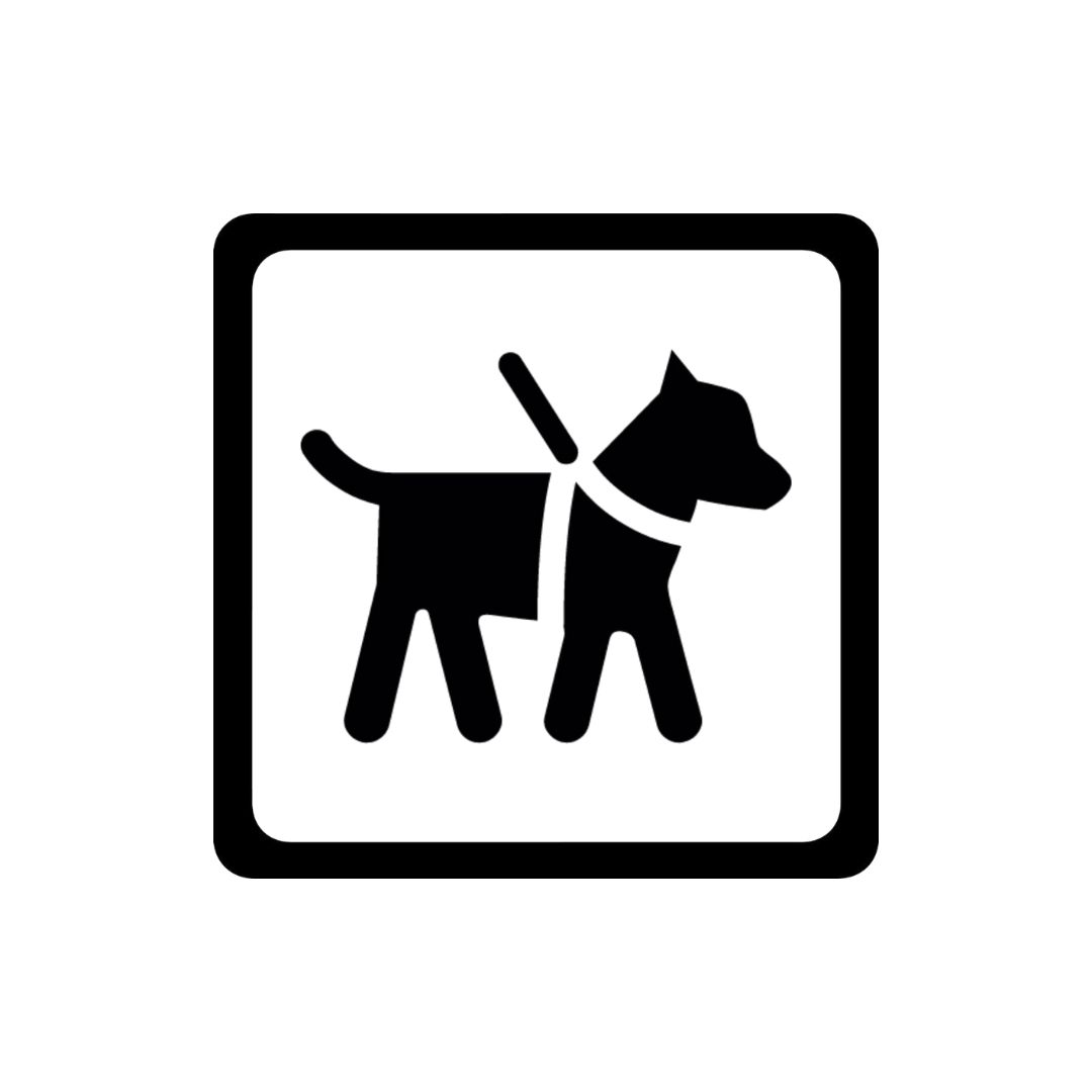 Dog With White Background Dog With White Background