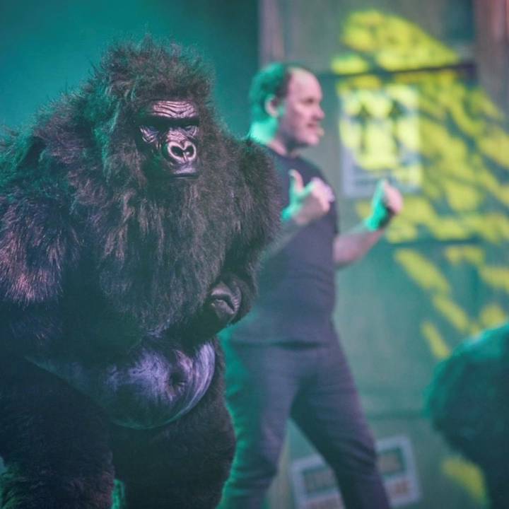 Gorilla